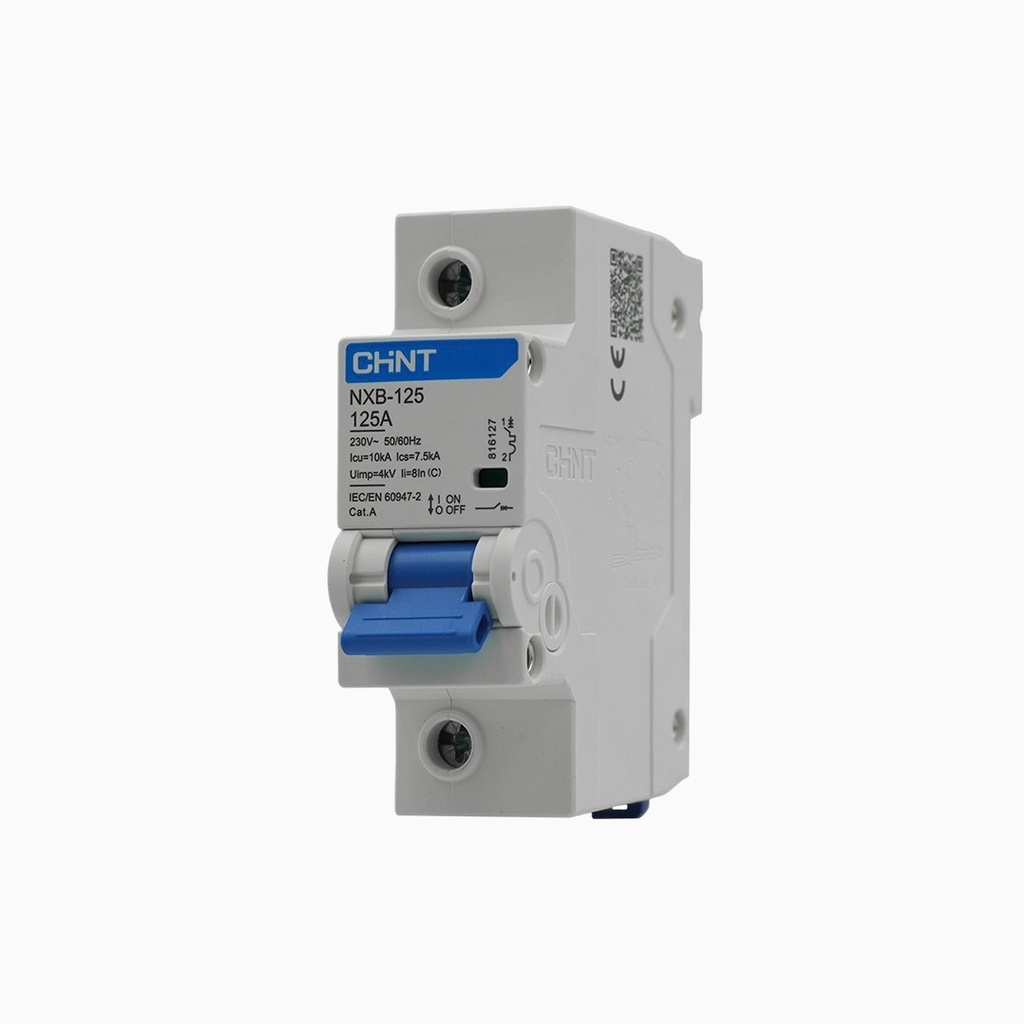 Interruptor automático 1P 125A curva C 10kA riel DIN NXB-125H - Chint