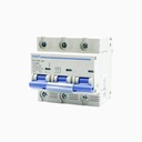 Interruptor automático 3P 100A 10kA riel DIN DZ158-125 - Chint